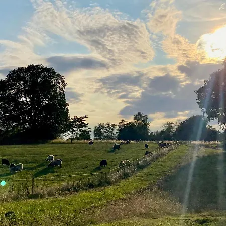 Séjour à la ferme Cozy Tiny House On A Farm Skibby
